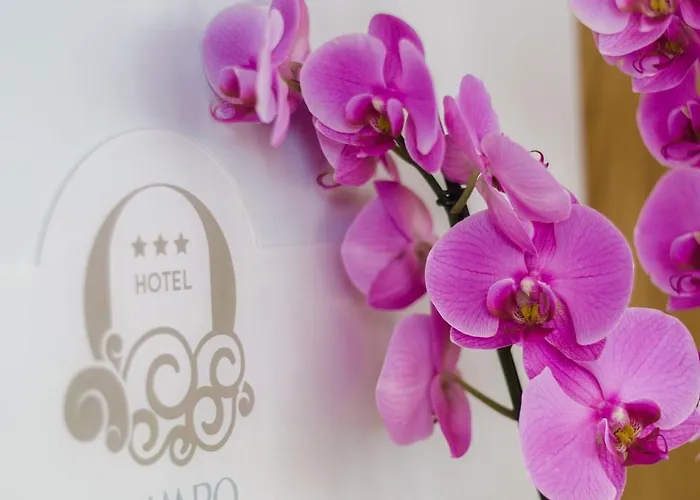 Olimpo Сан-Бенедетто-дель-Тронто